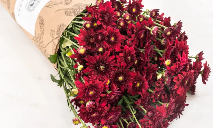 ANANDI GIFT AND PARTY